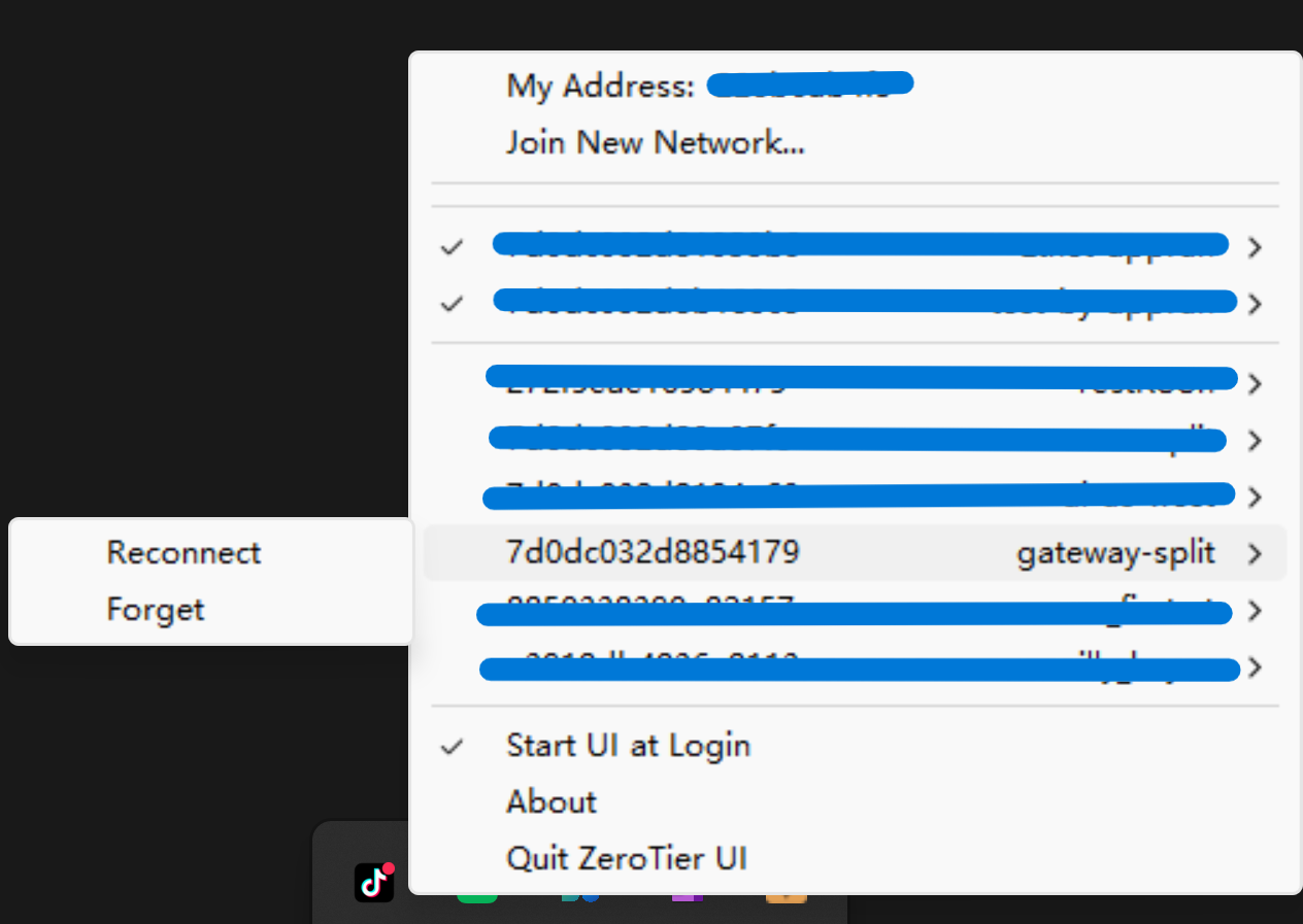 ZeroTier UI